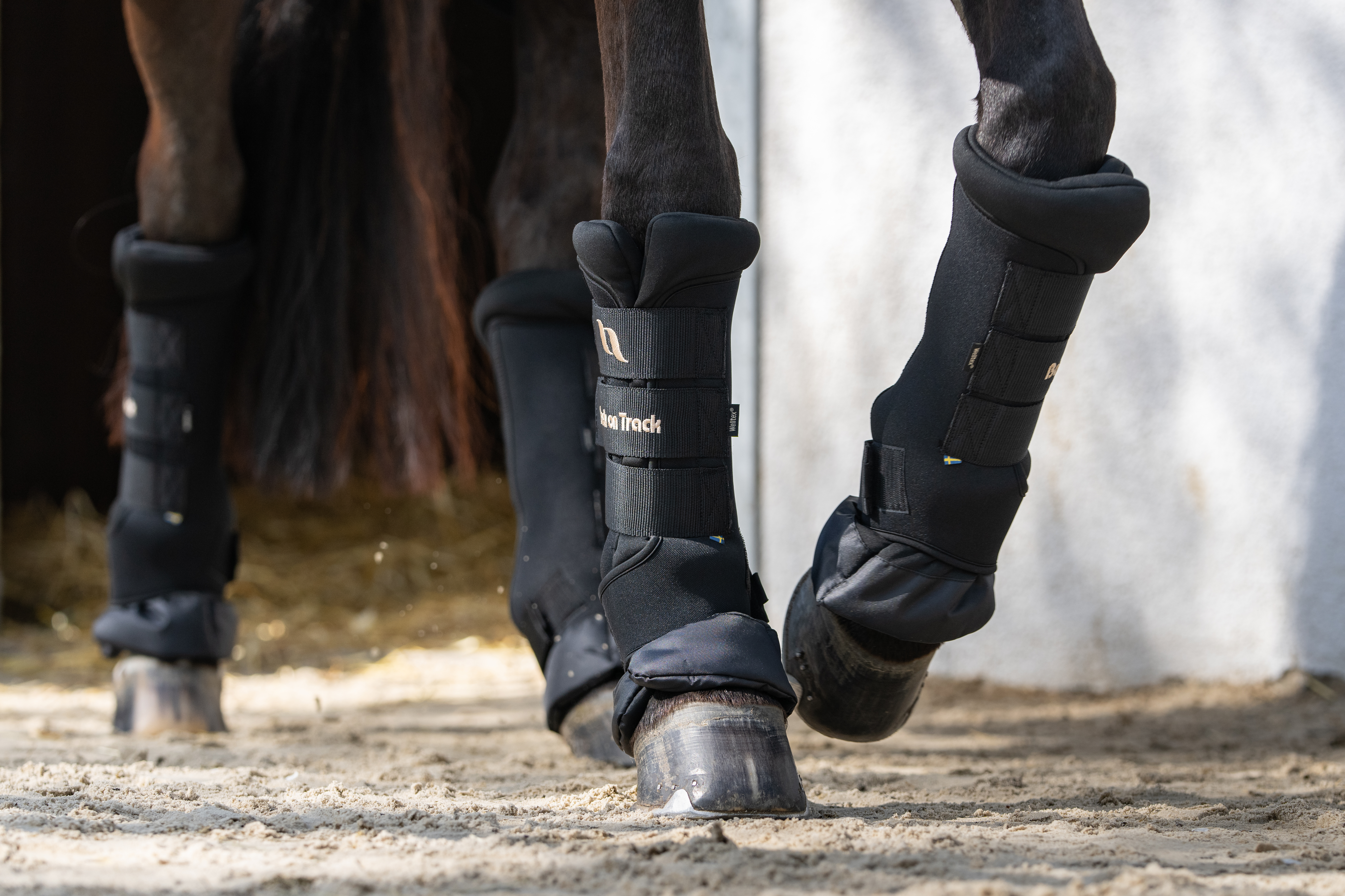Spiegazione delle tecnologie tessili Back on Track: Welltex, Iontex, Haematex e Cool on Track Spiegazione delle tecnologie tessili Back on Track: Welltex, Iontex, Haematex e Cool on Track