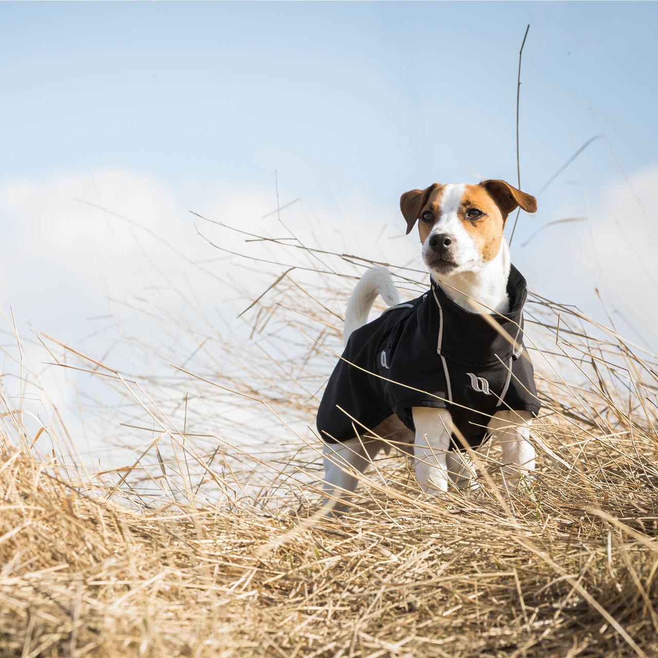 Back on Track Bark Allround Hundemantel