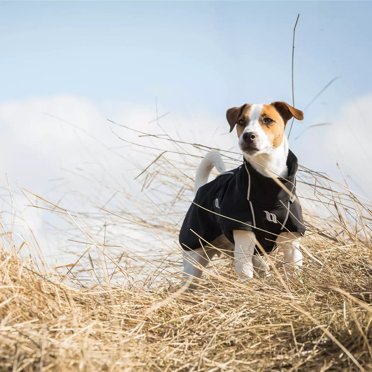 Back on Track Bark Allround Hundemantel