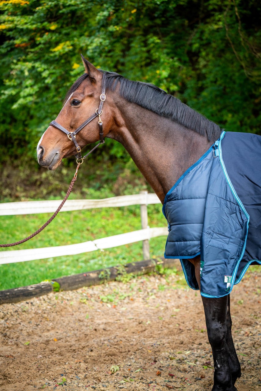 Horseware Sottocoperta Liner 100g