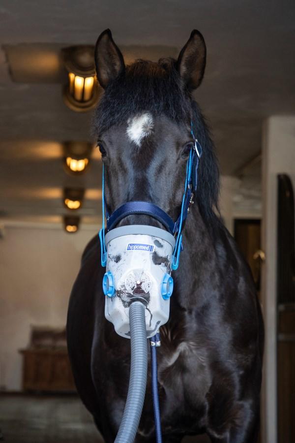 Hippomed Air-One inkl. Warmblutmaske