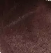 Flash