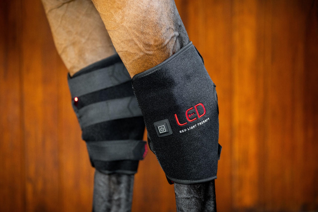 Horseware Protège-Jarret de Thérapie par Lumière Rouge LED