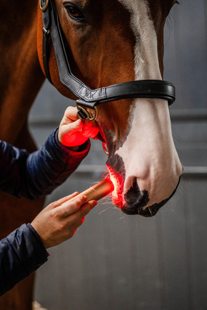 Horseware Dispositivo per terapia a luce rossa LED