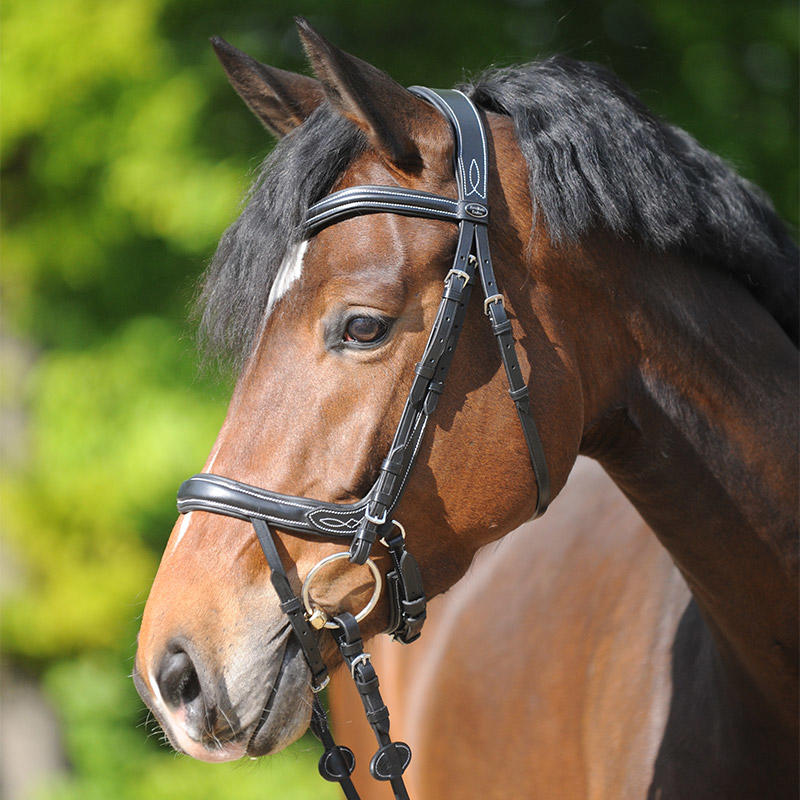 Kavalkade Snaffle Ivy Plus