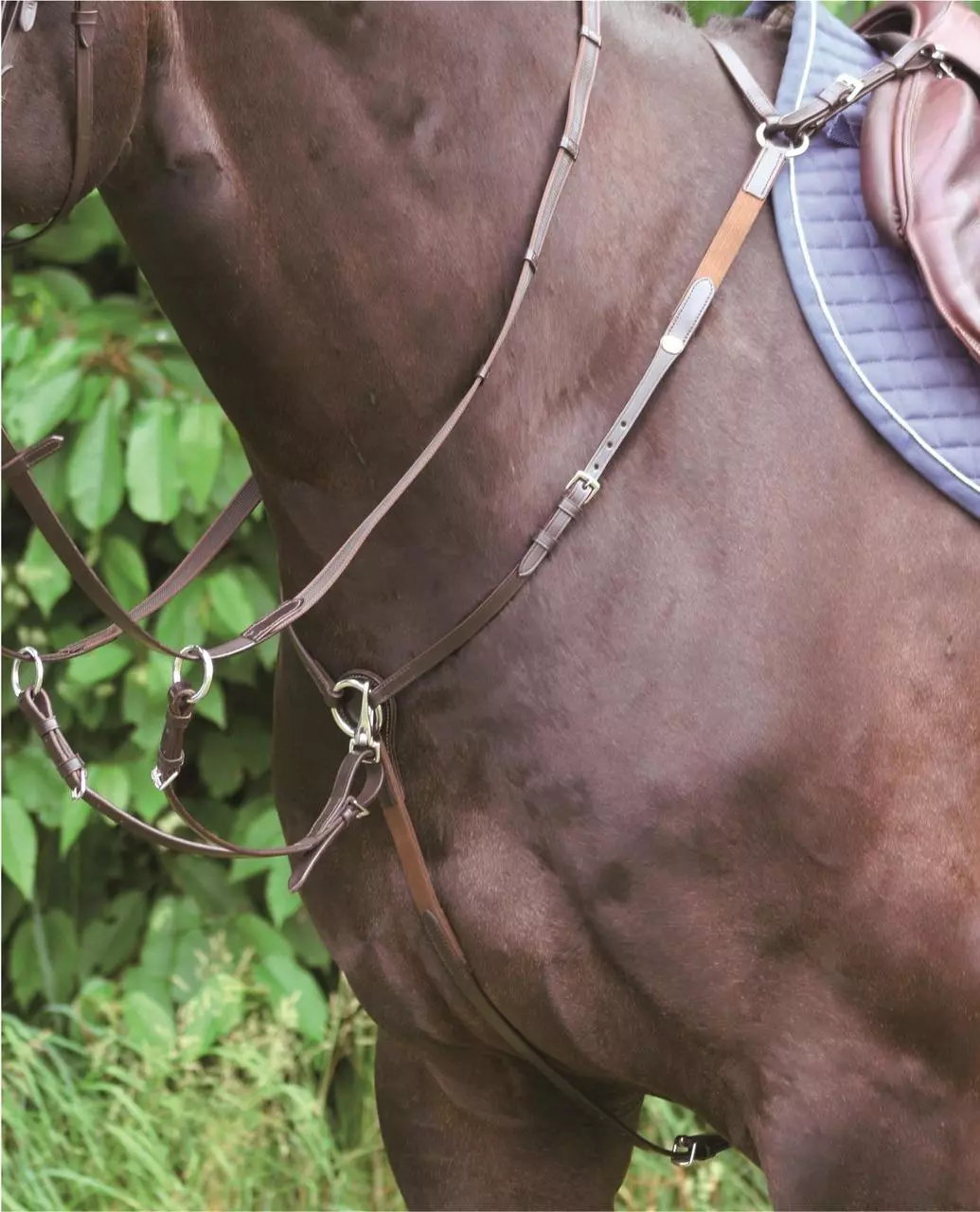 Hans Melzer Vorderzeug Bad Harzburg