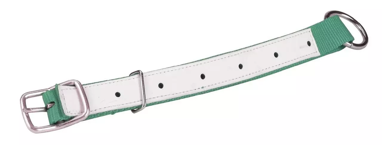 HALSRIEMEN für Schafe, 60cm
