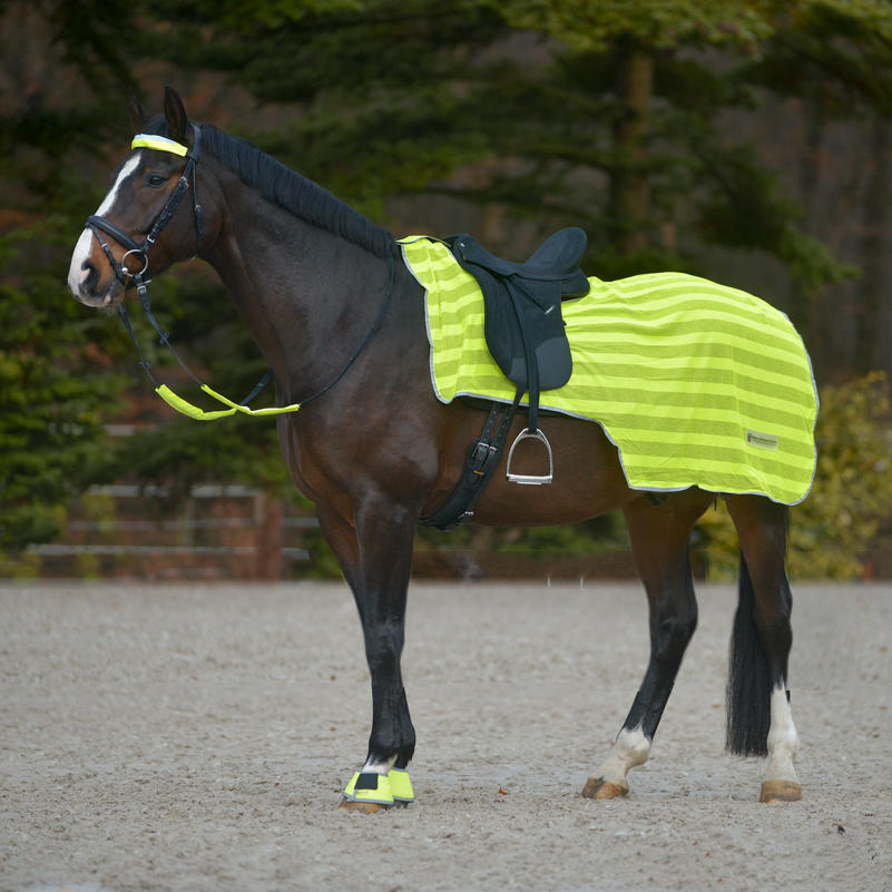 Waldhausen Coperta lombare Reflex