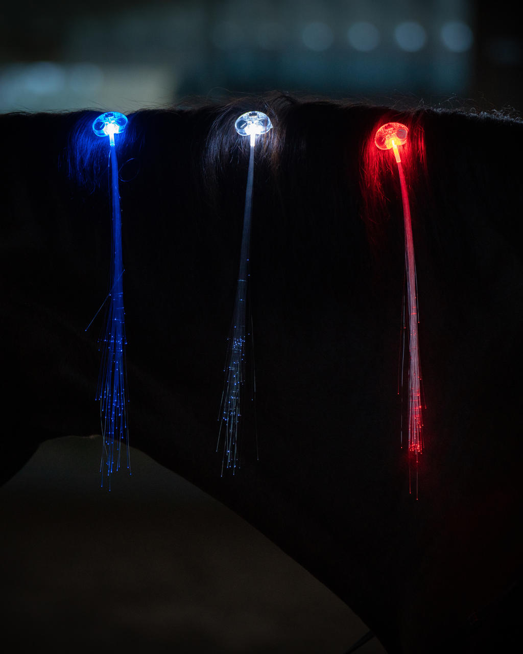 USG Fermagli a LED per la criniera USG Fermagli a LED per la criniera