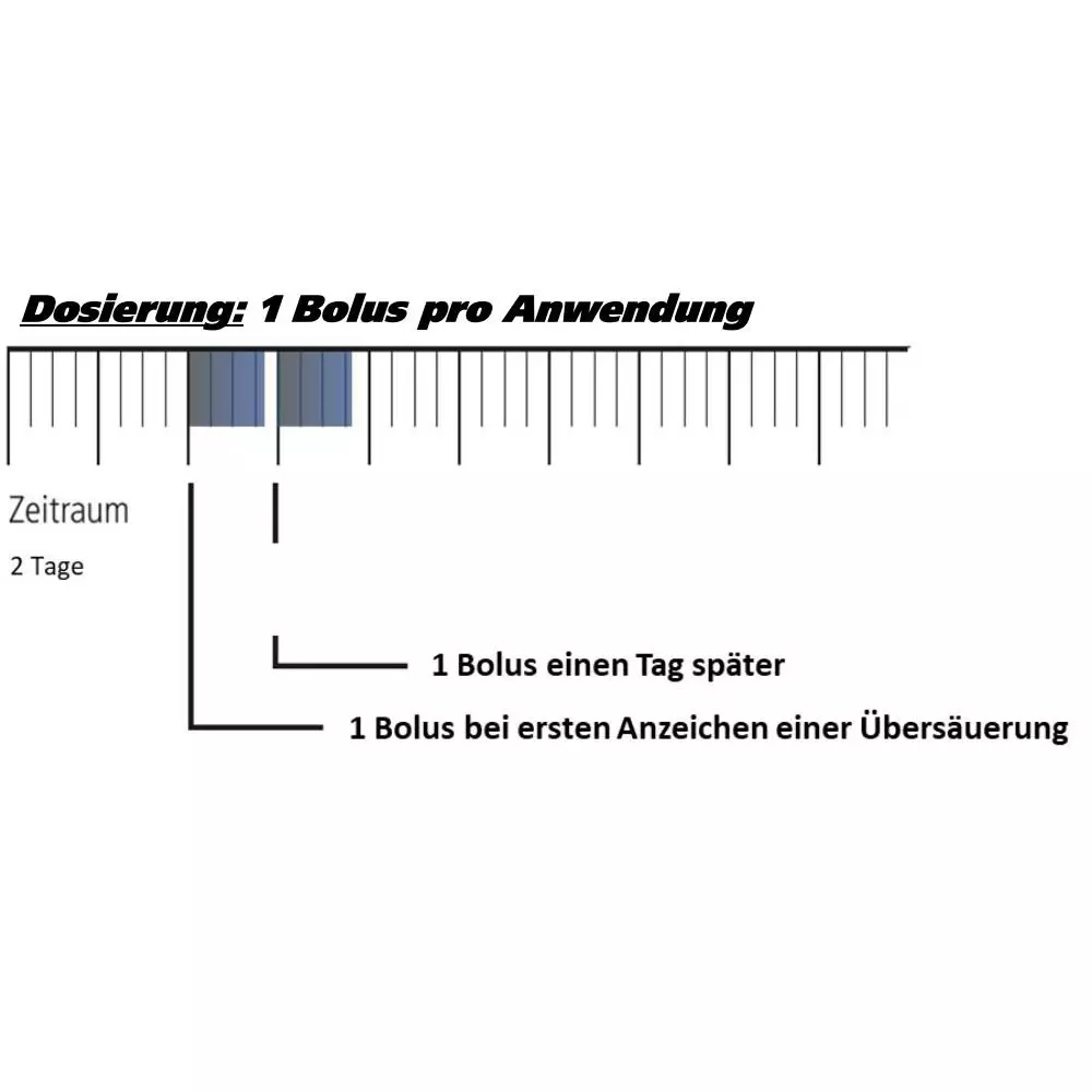 Landmans Best PANSENTOP Bolus - 12 Boli à 100 g