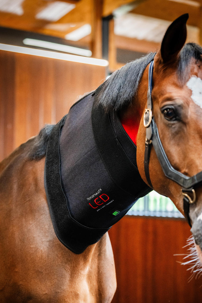 Horseware LED Red Light Therapy Pad Horseware LED Red Light Therapy Pad