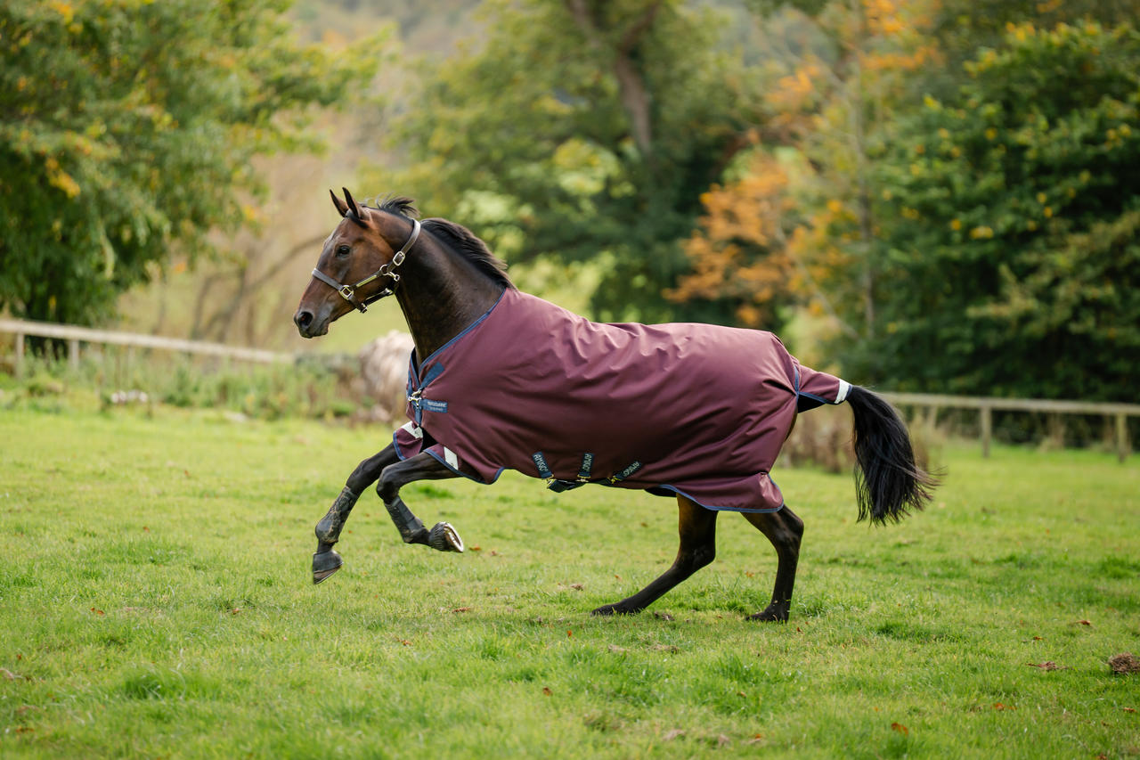Horseware Amigo 1200D Turnout 0g Horseware Amigo 1200D Turnout 0g