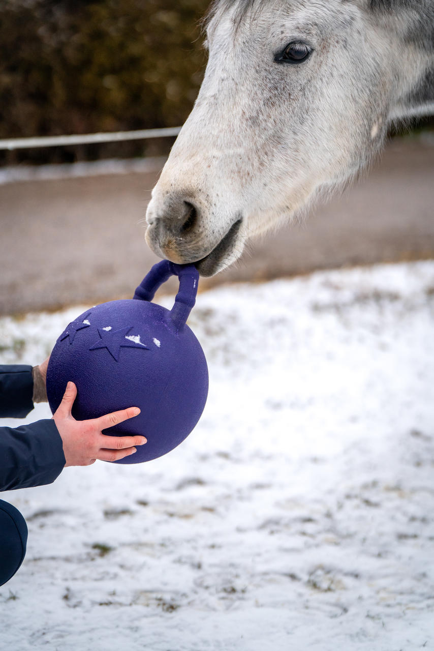 Kerbl Pferdespielball