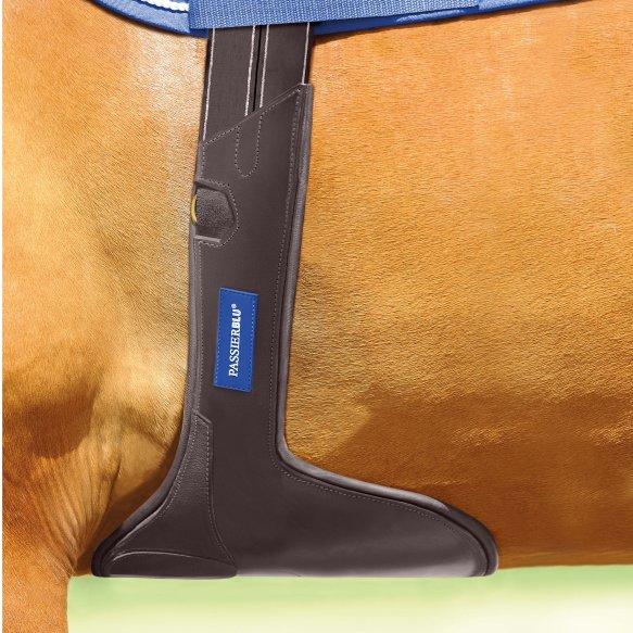 Passier Sottopancia in cuoio BLU PROTECT