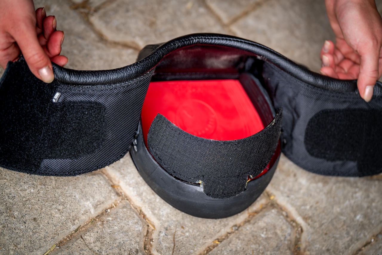 Cavallo Cuscinetti in gel