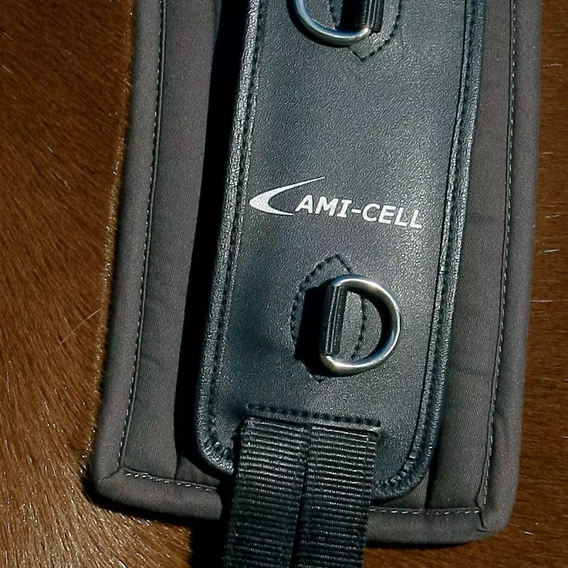 LAMI-CELL Anatomischer Longiergurt