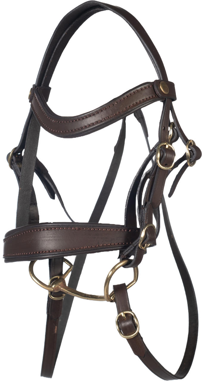 HKM Trense -Hobby Horsing Basic-