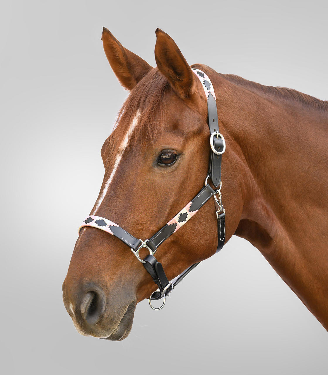 Waldhausen Lederhalfter X-Line Polo