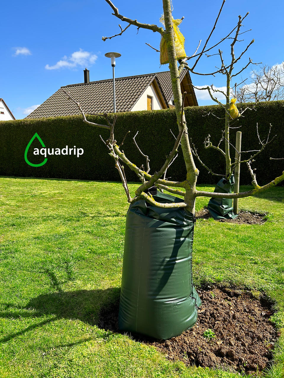 Zill aquadrip Baumbewässerungssack - 77 Liter