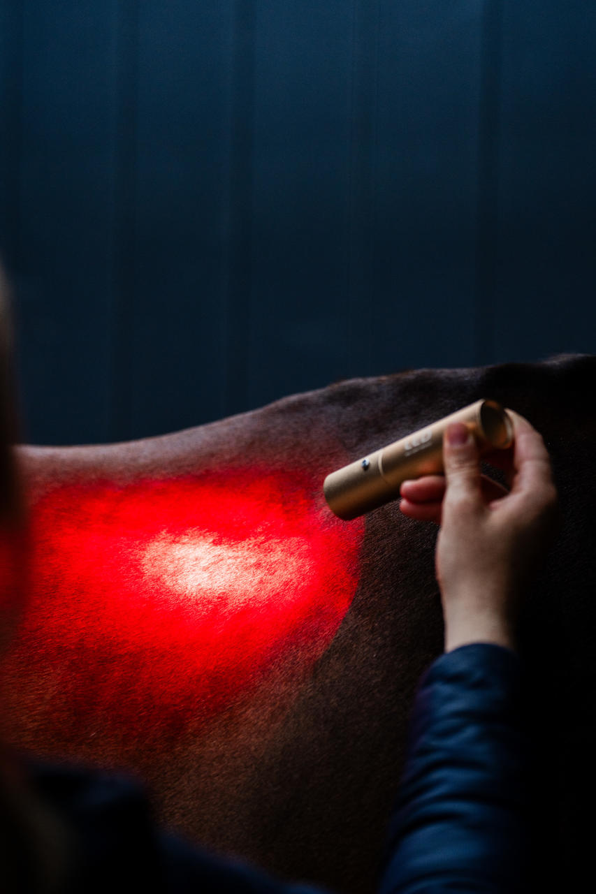 Horseware Dispositivo per terapia a luce rossa LED