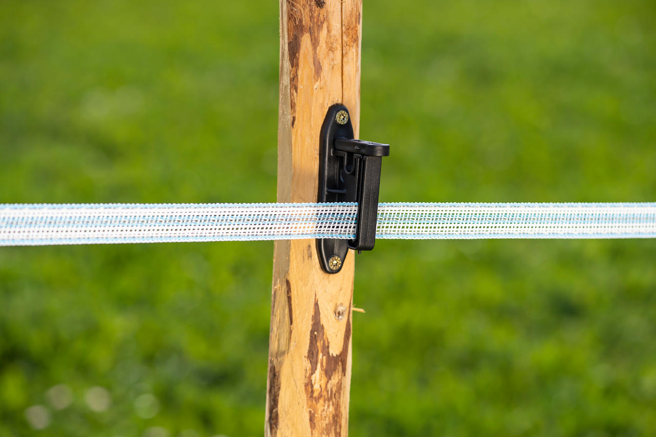 WAHL-FENCE Nastro di recinzione per pascoli - HIGH END 20 mm / 200 m