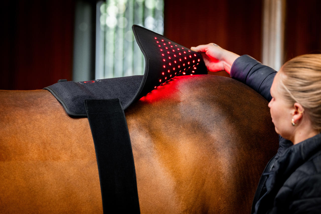 Horseware Cuscinetto per terapia a luce rossa LED