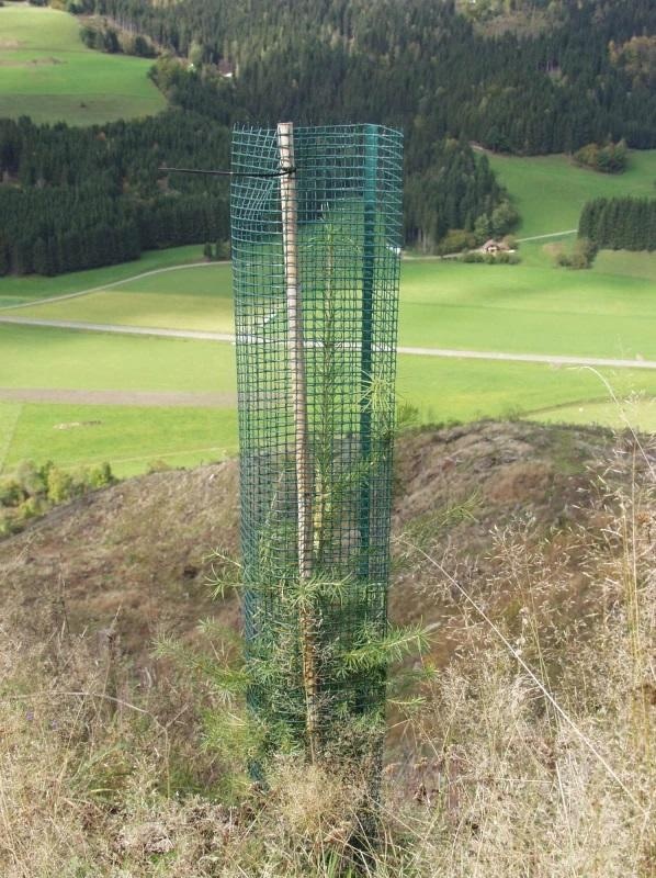 witasek Baumschutzgitter Freiwuchs 300, 120cm