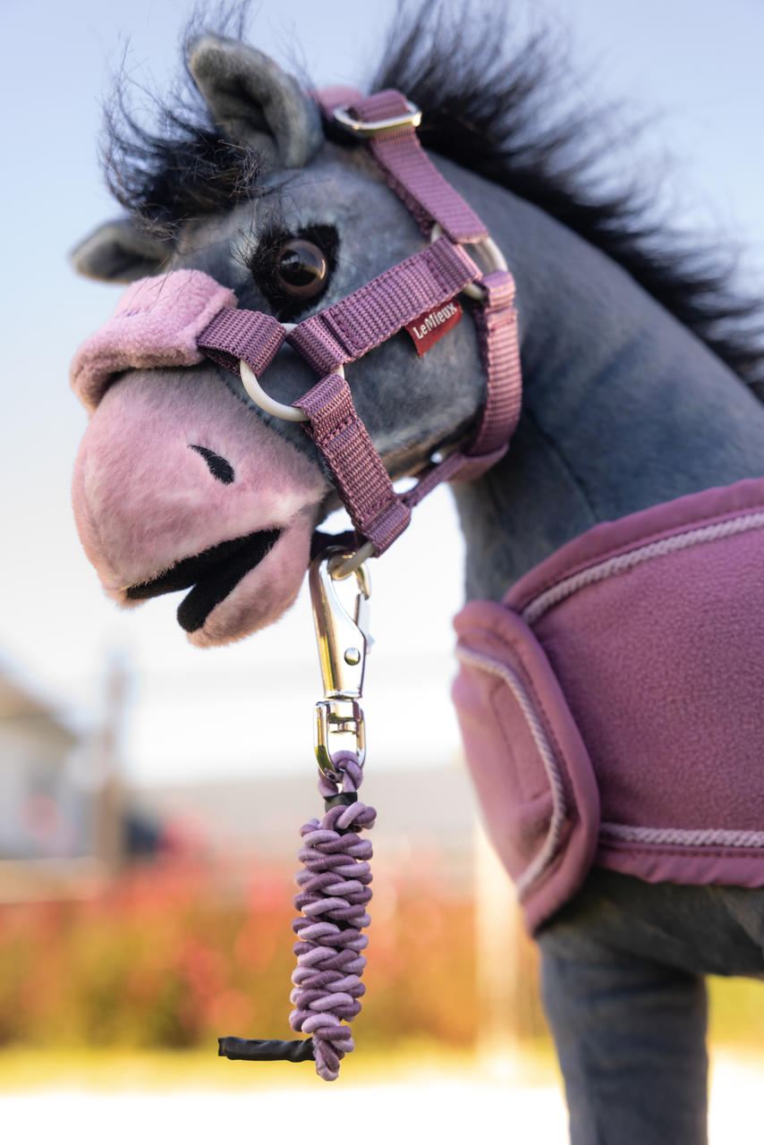 LeMieux Licol et longe de présentation Toy Pony Vogue