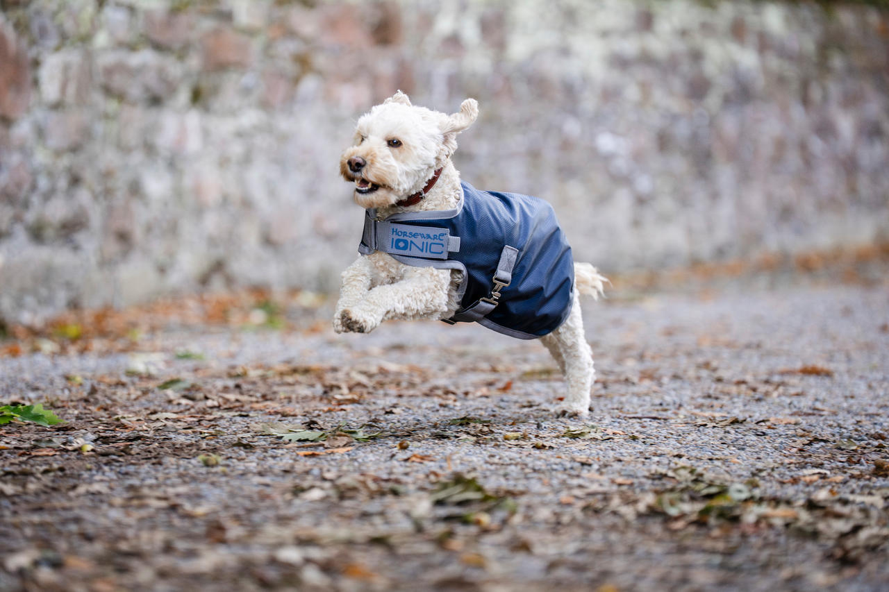 Horseware Ionic Therapy Dog Coat 50g