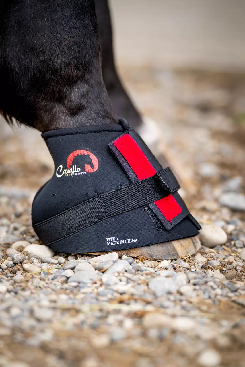 Cavallo Pastern Wrap Bandage Neopren