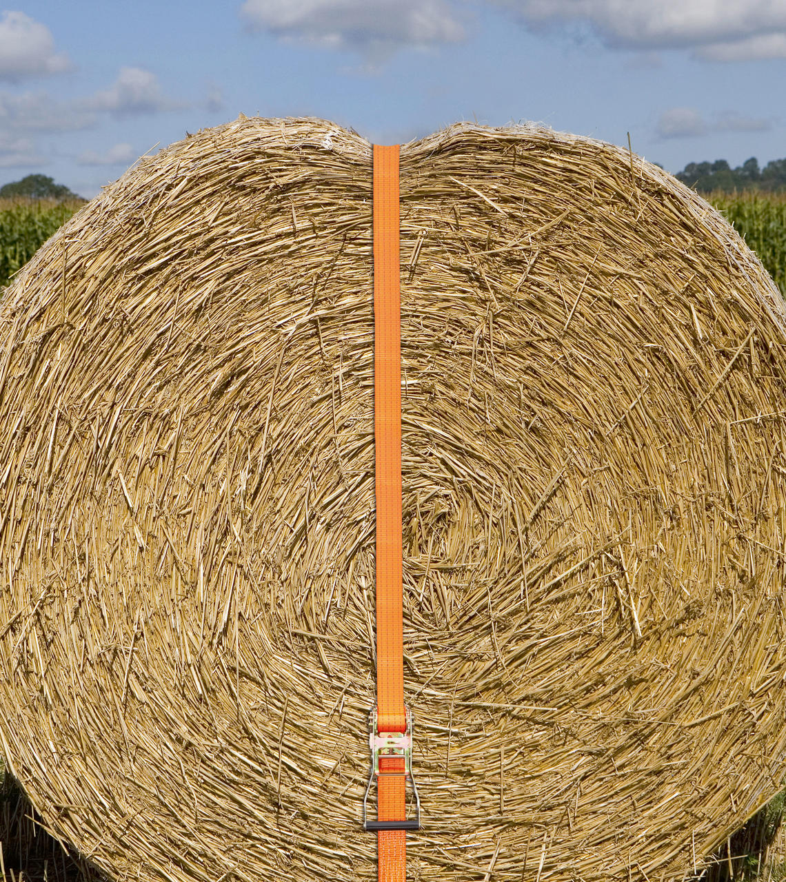 Kerbl Zurrgurt Zugkraft 4000 kg, 2-tlg.