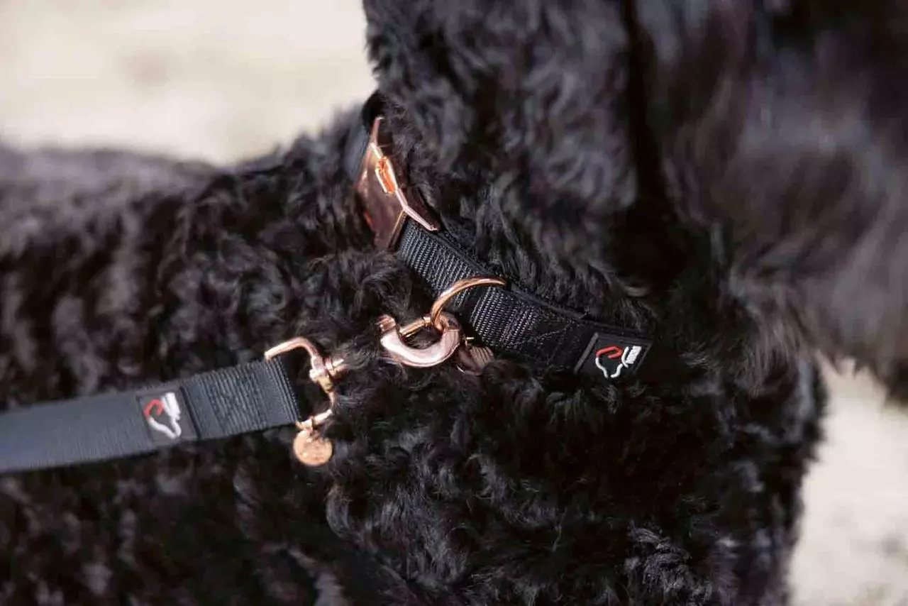HKM Hundehalsband -Anam Cara- Nylon