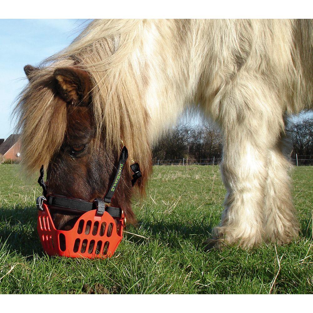 greenguard Panier Muselière Greenguard Poney/Shetland greenguard Panier Muselière Greenguard Poney/Shetland