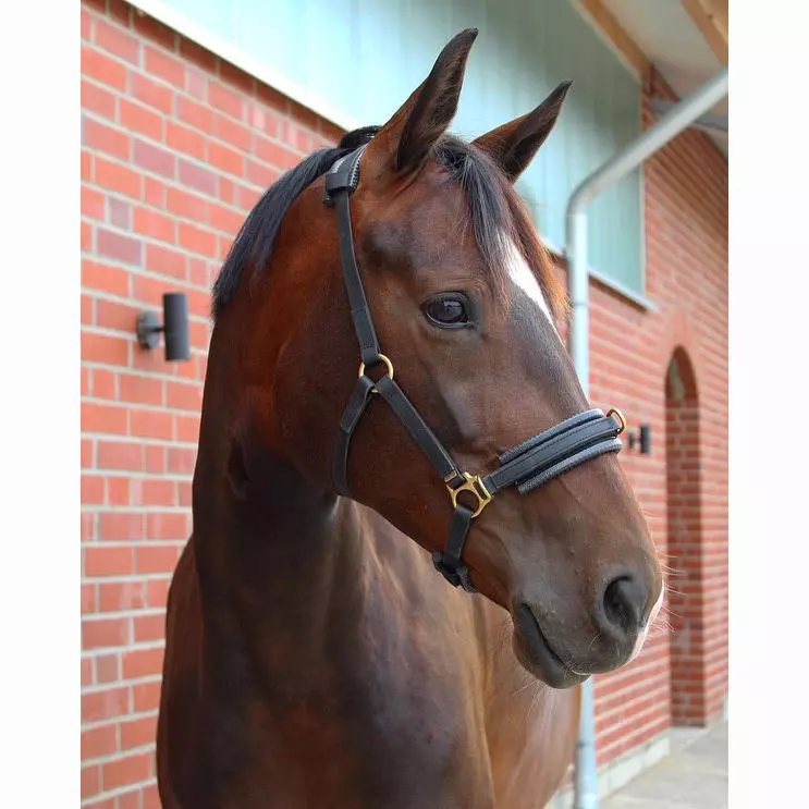 Hand Art Kappzaum Duo schwarz