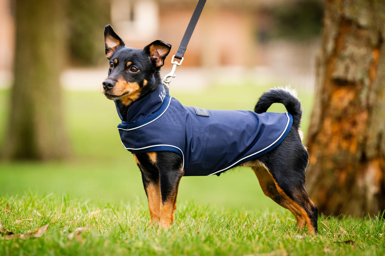 Horseware Impermeabile per cani firmato