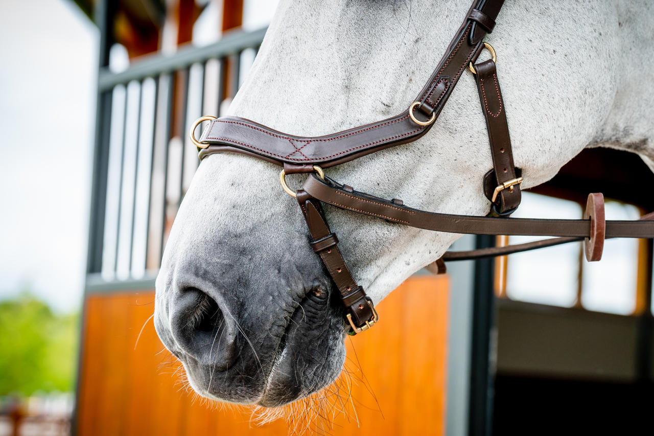 Horseware Briglia multiuso Micklem 2