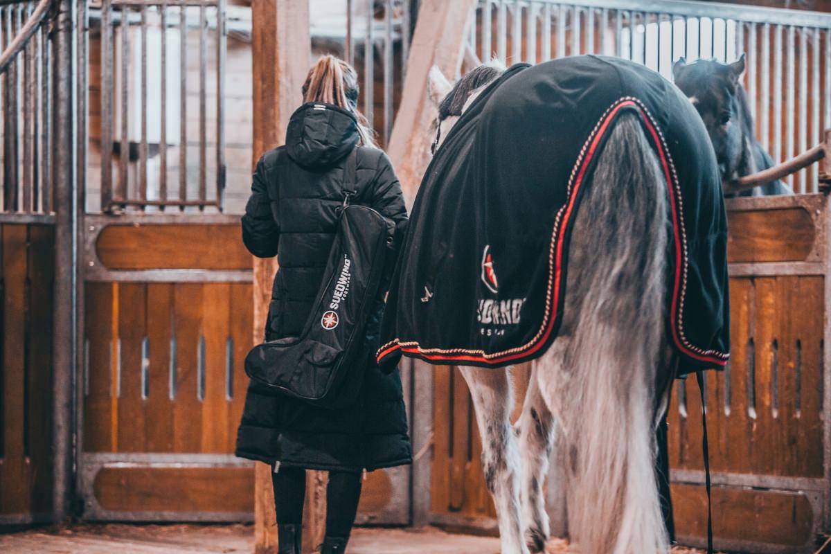 Suedwind Borsa da stivale alta
