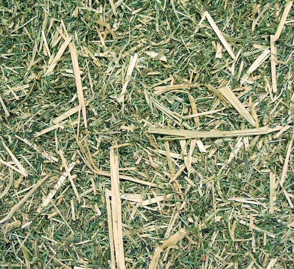 Agrobs Luzerne+ Pferdefutter 15 kg