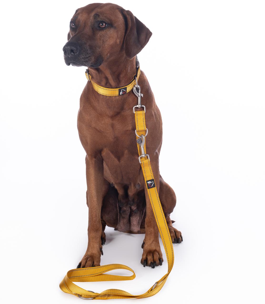 HKM Hundetrainingsleine - Anam Cara- Nylon