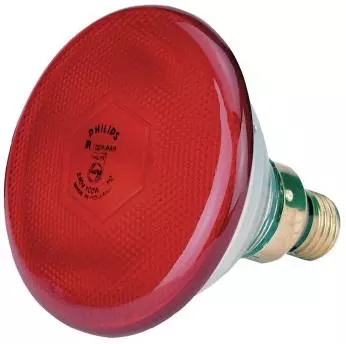 Philips Infrarot-Sparlampe, rot, 100 Watt