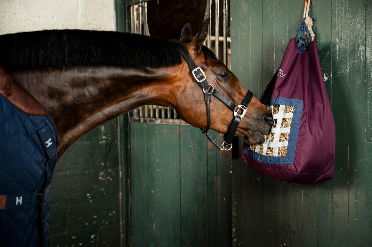 Horseware Revive Haybag