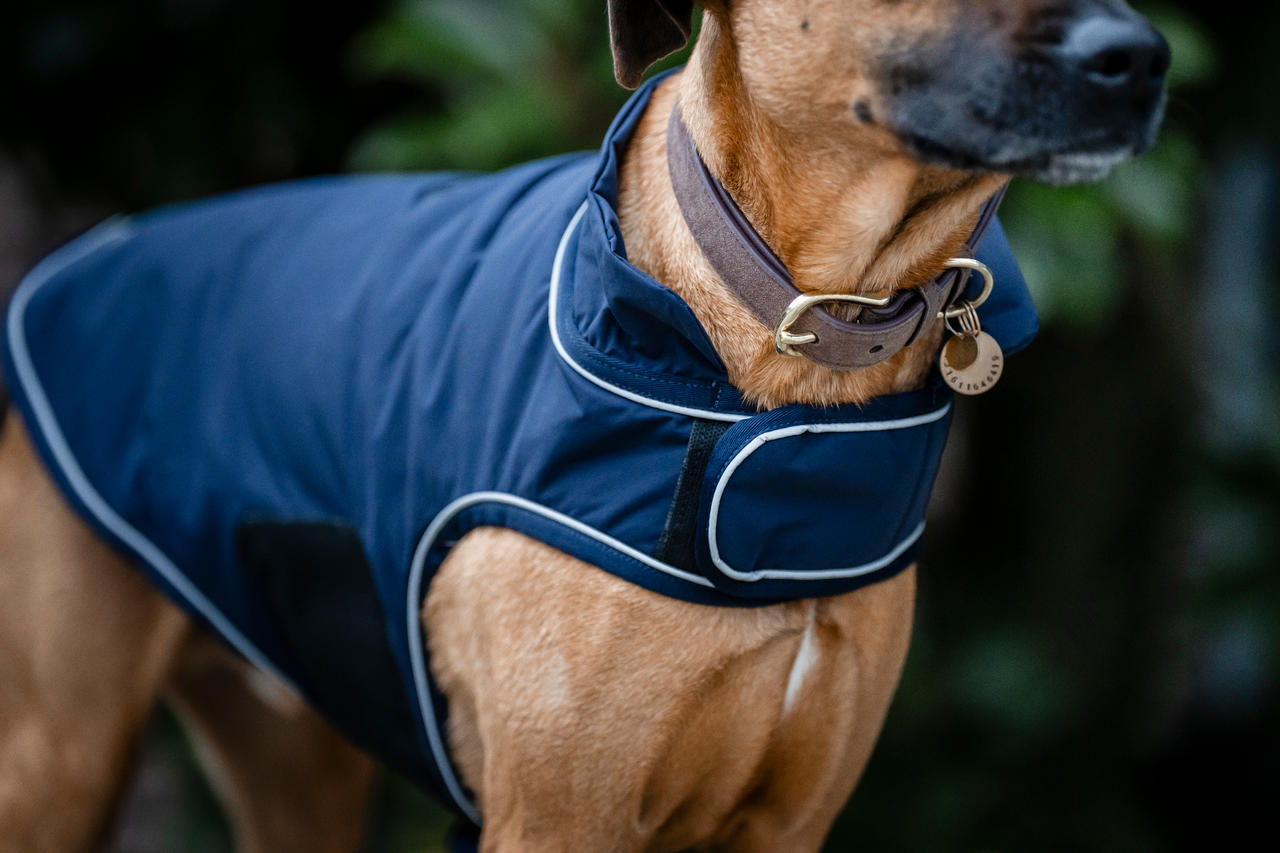 Horseware Signature Dog Rain Coat 100g