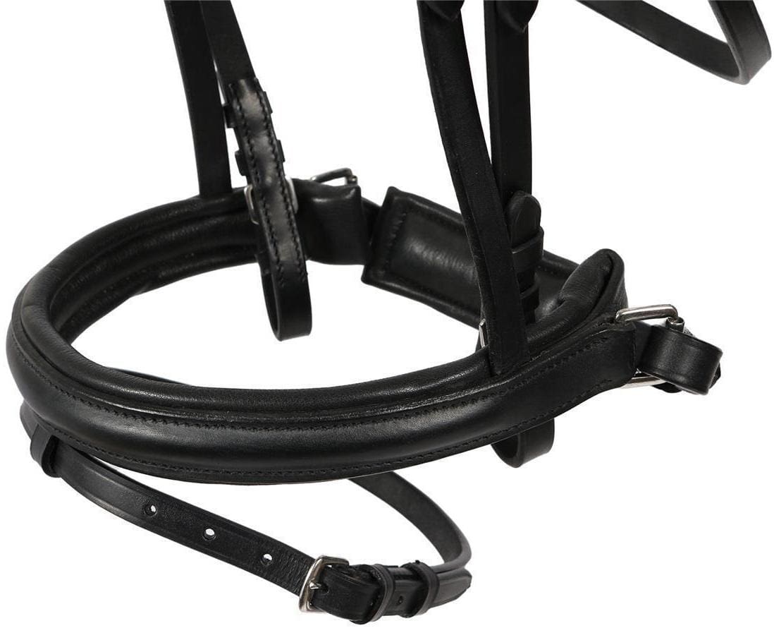 Hans Melzer Snaffle Valluhn, combinato svedese