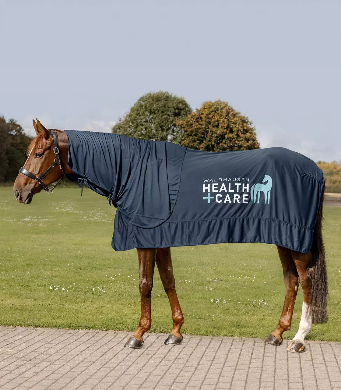 Waldhausen Health + Care Ice Layer Halsteil