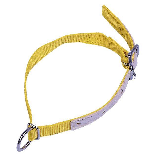 HALSRIEMEN für Schafe, 60cm