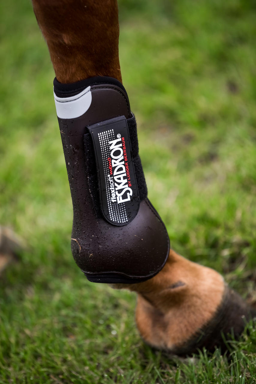 Eskadron Stinchiere FLEXISOFT Front Basics