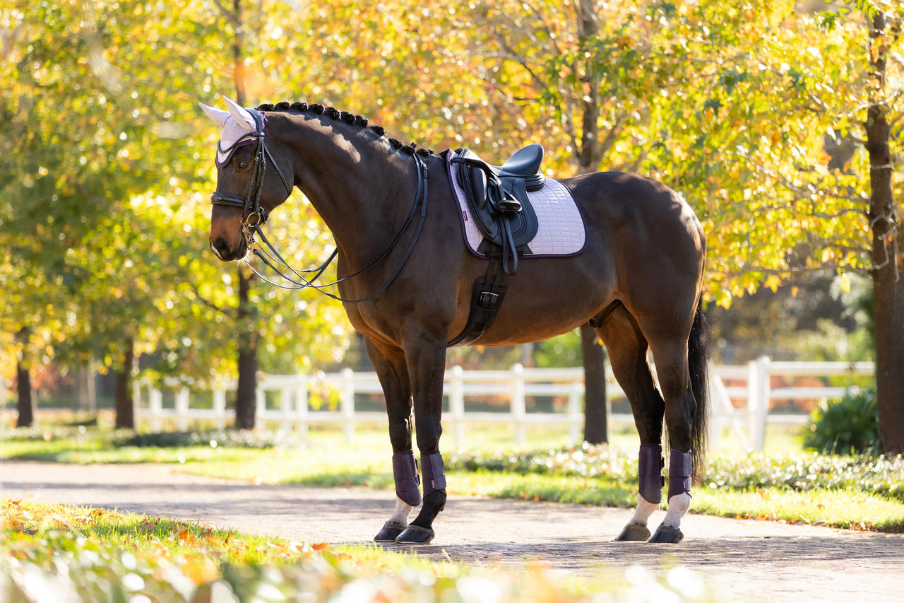 LeMieux Cuscinetto per sella da dressage in pelle scamosciata