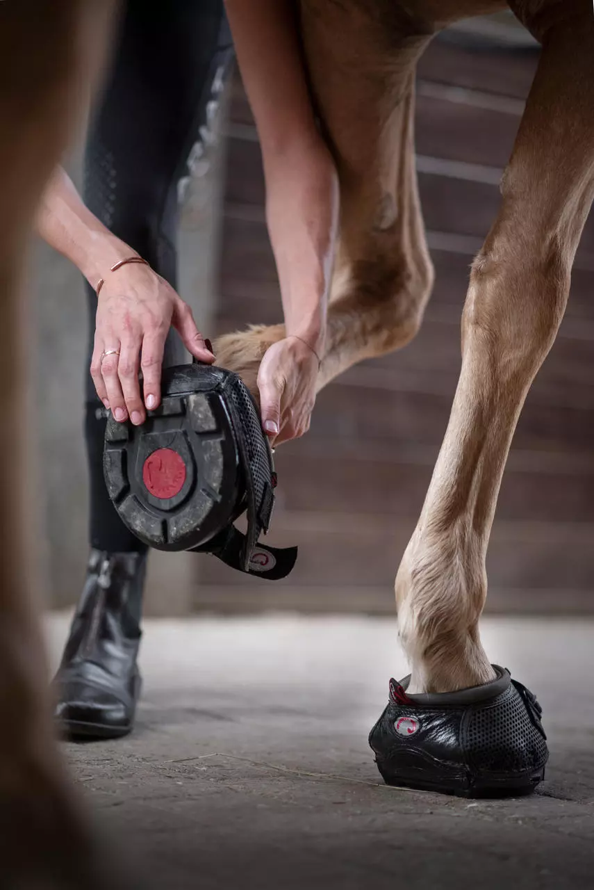 Cavallo Hufschuhe Trek Regular