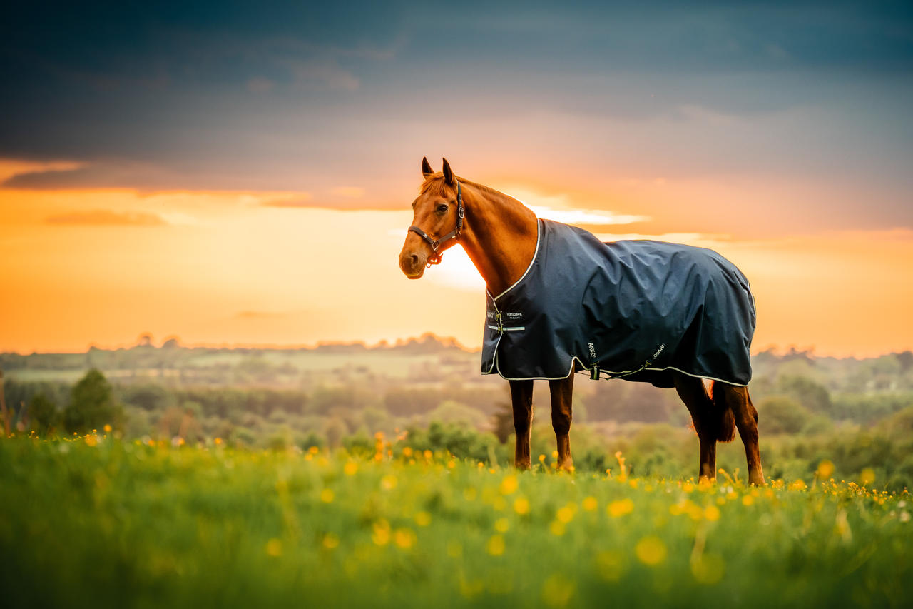 Horseware Coperta Amigo Ripstop 900D Pony Turnout 50 g