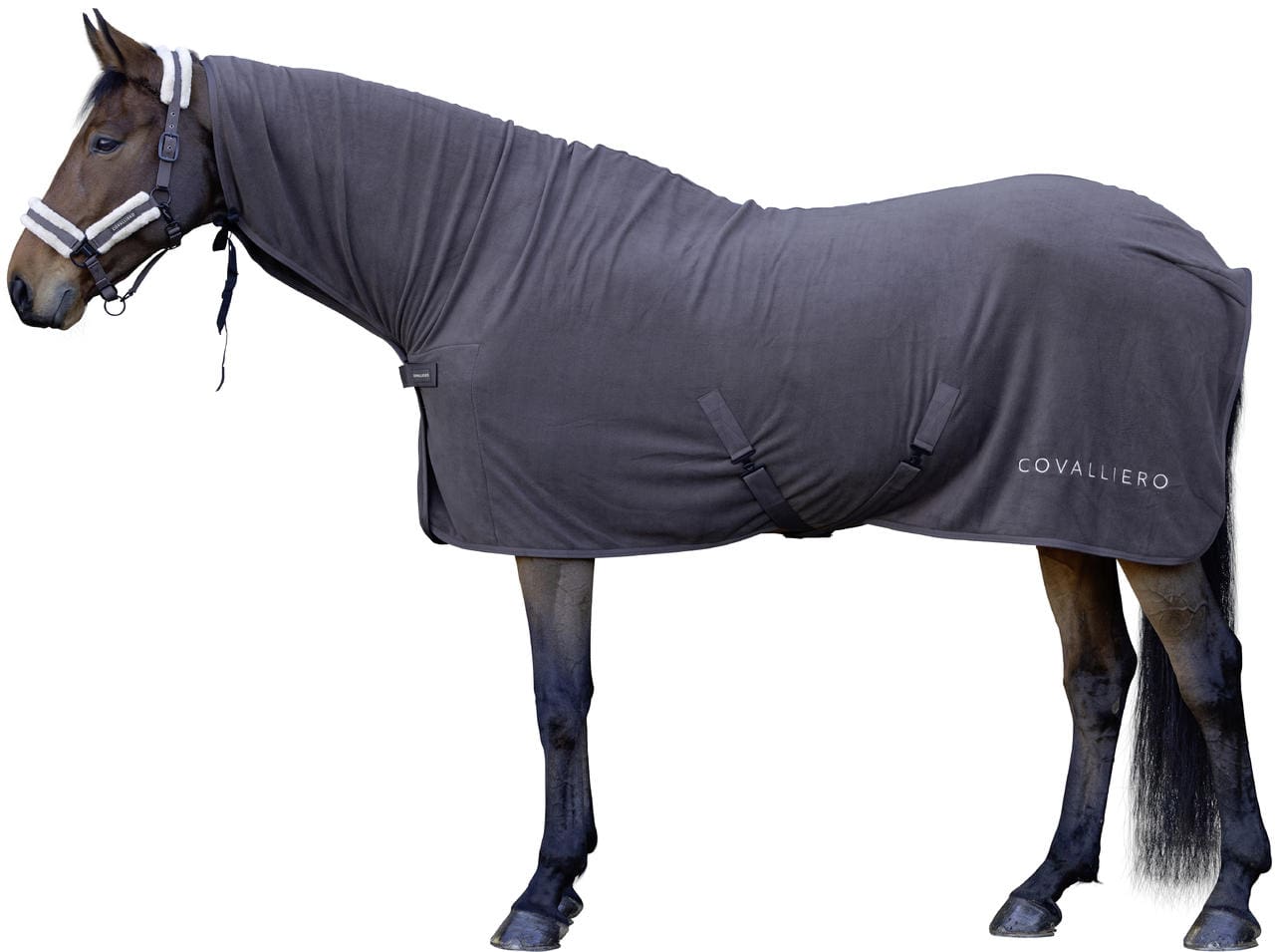 Computer Equi Covalliero Coperta antisudore
